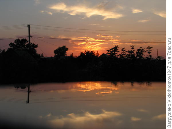 Закат на пруду