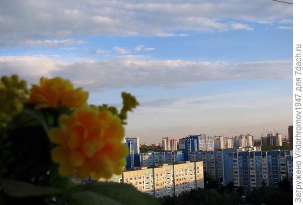 Карантин...вид из окна.