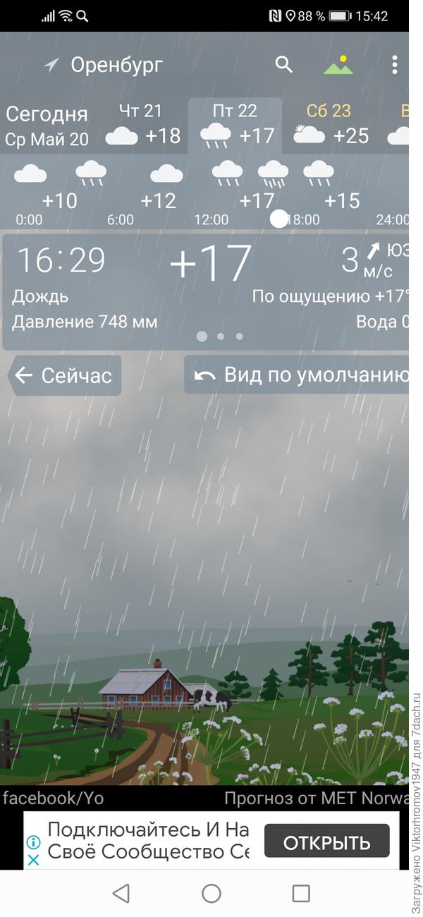 Уже три дня дожди, ветер и прохладно.