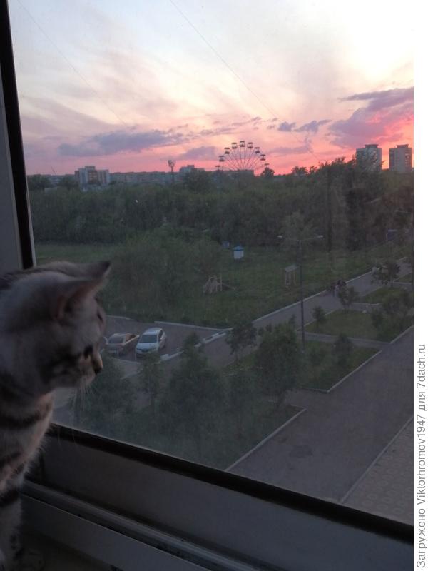 Вчерашний вечер...