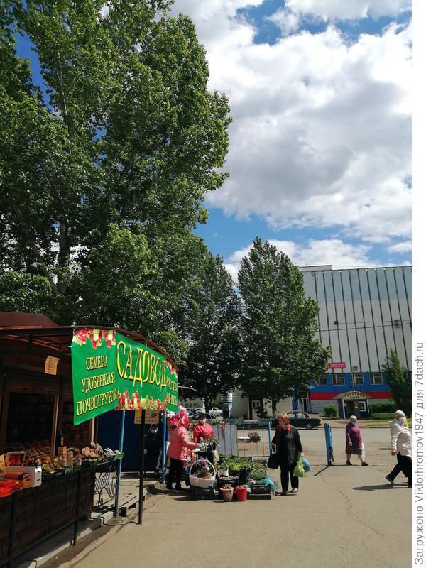 Карантин... а рассада и семена нужны...