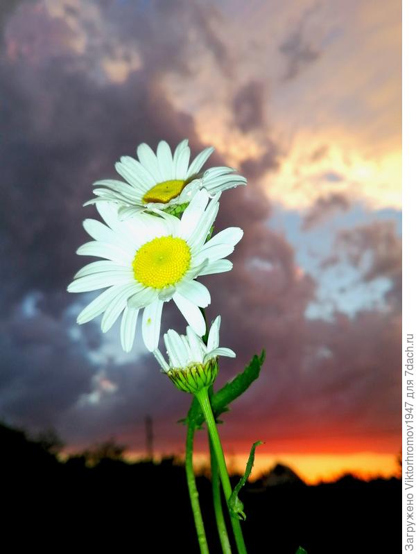 Потом, как ливануло!...