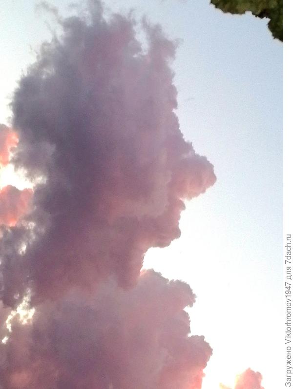 А вот затем на небе появилась видимо Старшая тучка... Поглядел на нас сверху... Видимо пожалела и всё!... Красивой Сказке конец!