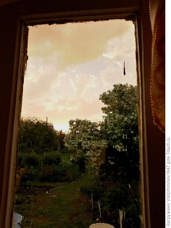 Но мы уже наблюдали в окно и радовались тёплому дожди ку сухие!...