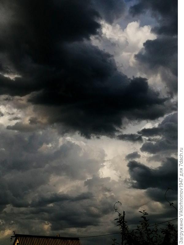 А это уже обратно...