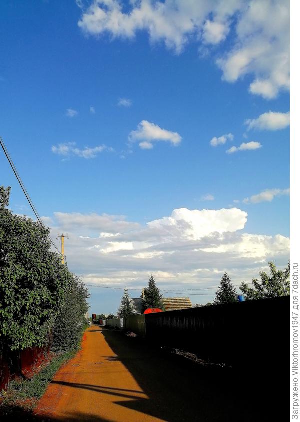 Дорога до дачного магазина