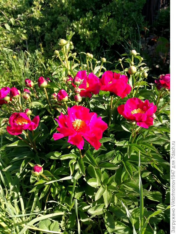 Будьте Счастливы!!! Удачи!