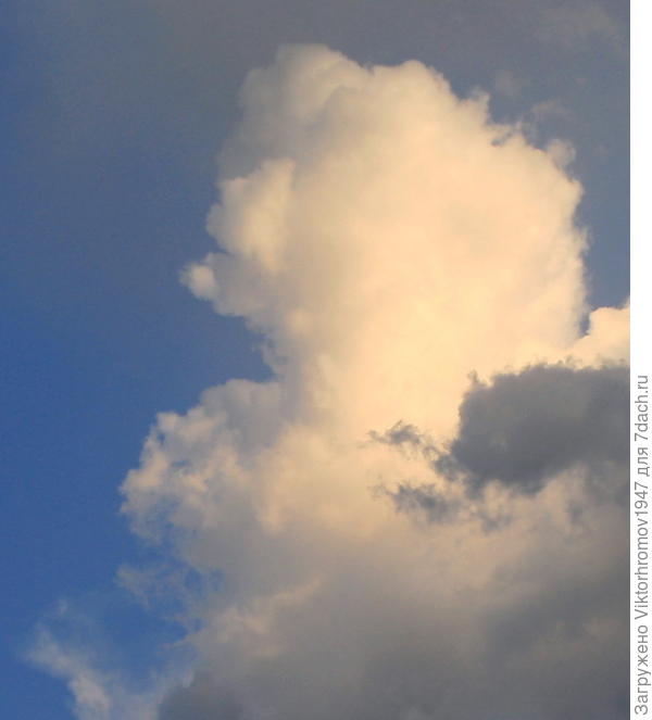 И как будто, чей то нежный, поэтический профиль за всем этим наблюдал!