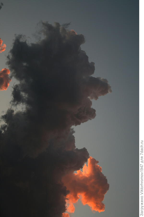 На небесного Демона похож...