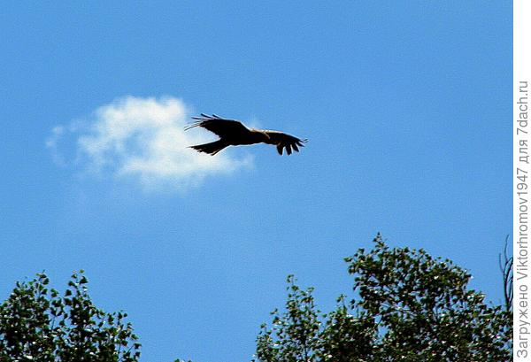 Эх!...Нам бы так!