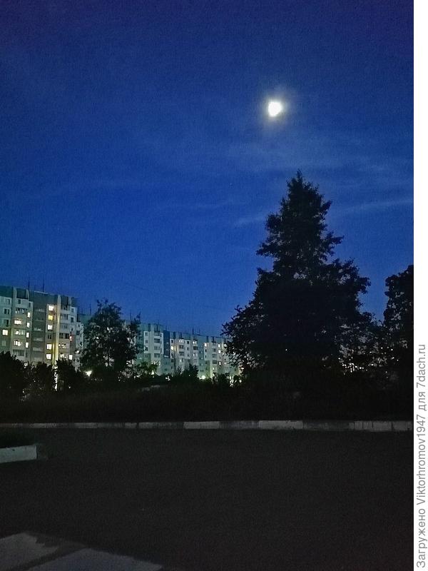 Фото только что на телефон...