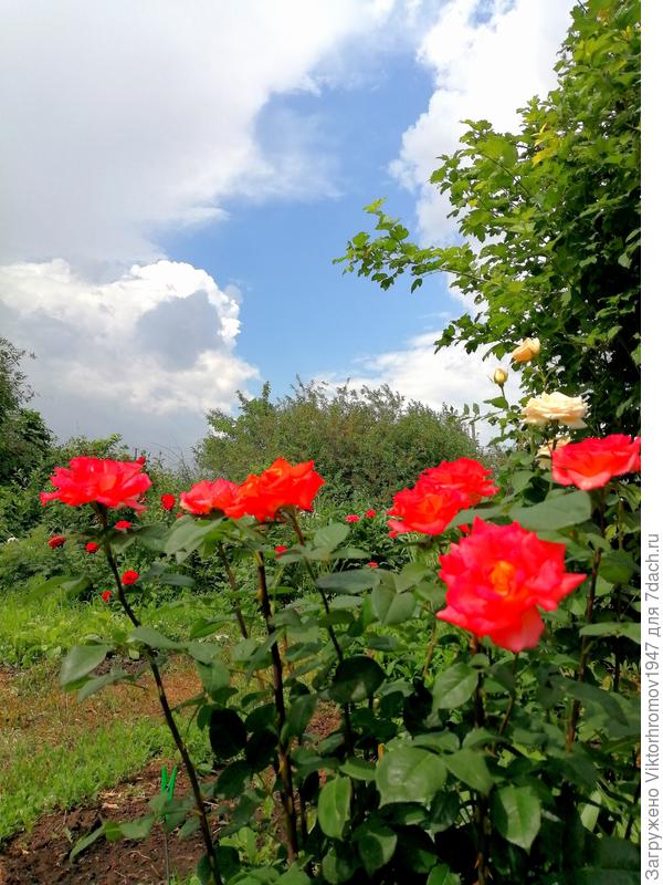 Удачи во всём!!!