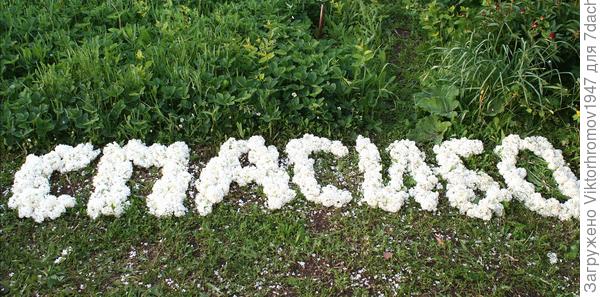 Семья Оренбуржцев.