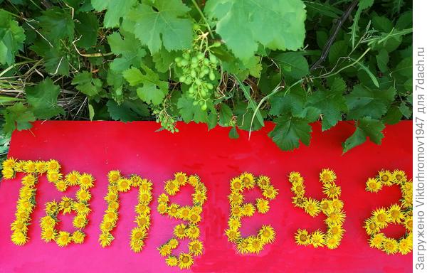 К этому знаменательному событию на даче обильно расцвели любимые и очень полезные цветы &amp;quot;Девясил&amp;quot; Женская половина создали эту цветочную композицию &amp;quot;Tangeya&amp;quot; Пусть у Вас и настроение и Ваша молодая энергетика увеличатся в &amp;quot;ДевятьСил!&amp;quot;