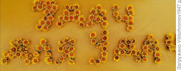 Сплочённый Вами Сайт 7 Дач стал уже Международным любимцем! Процветания Вам, Любви, Здоровья и Удач!