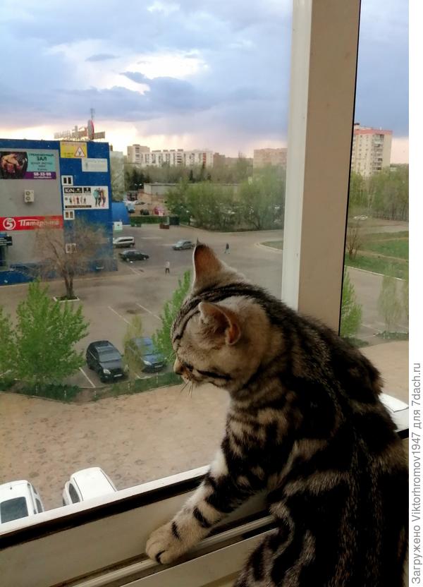 Ну ладно! Встречу!...