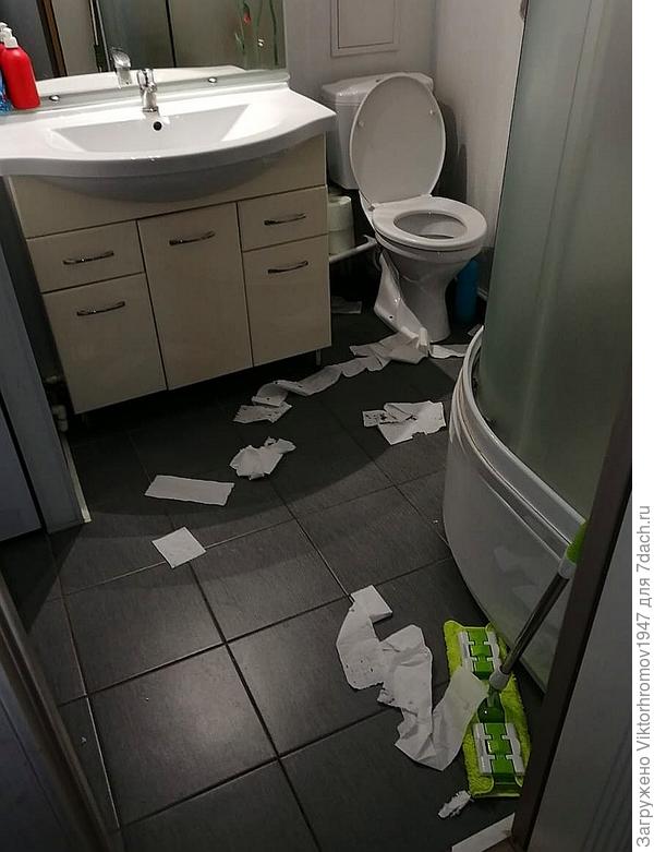 ... и спряталась! Придётся брать её с собой.