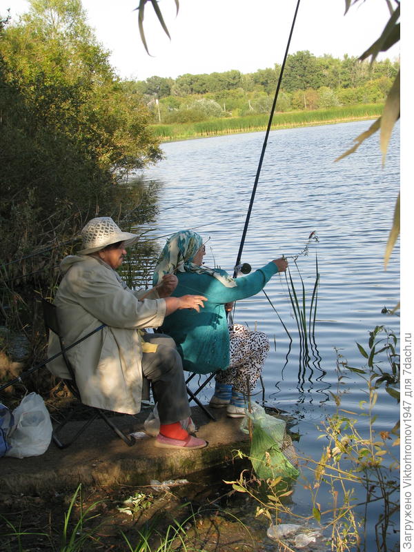 Две подружки соседки.