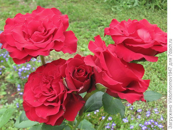 С Днём рождения!!!