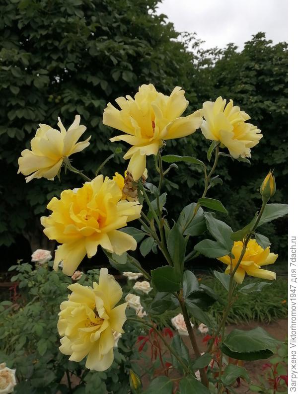 Счастья! Улыбок! Удачи!