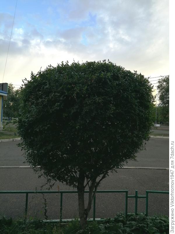 Без определённого опыта, но что то получилось. Мы довольны!