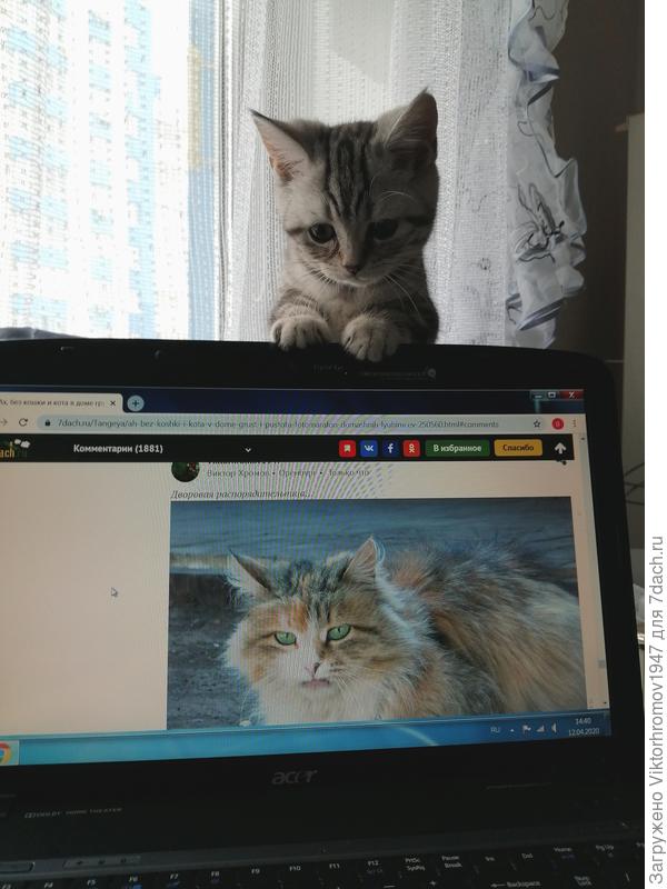 ...по телеку!