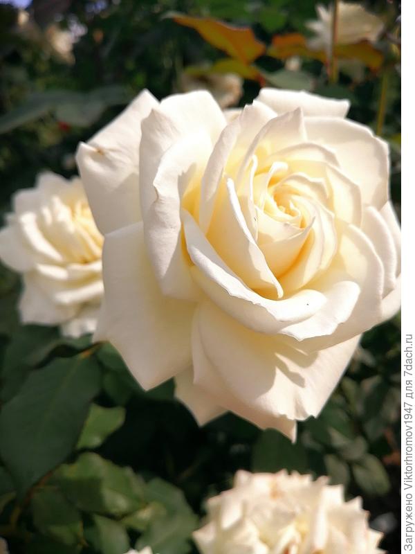 Будьте Счастливы!!!