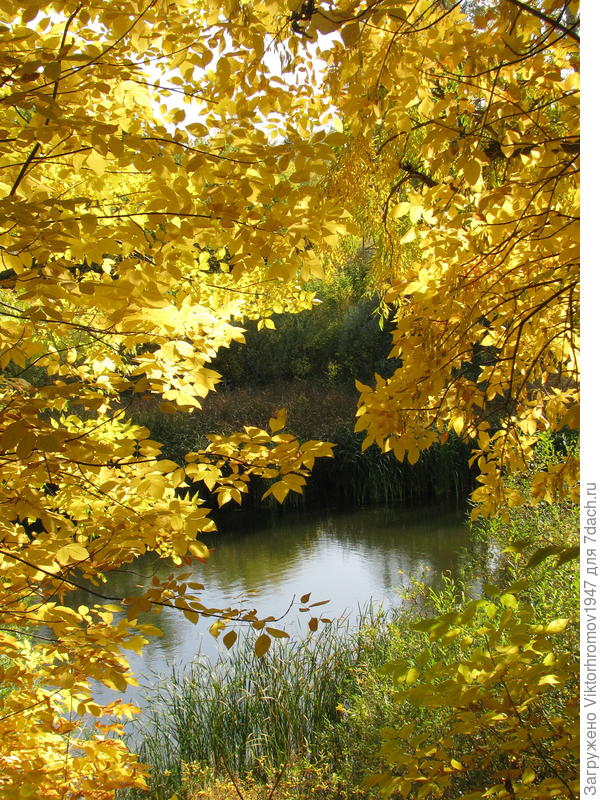 Счастья! Успехов! Улыбок!