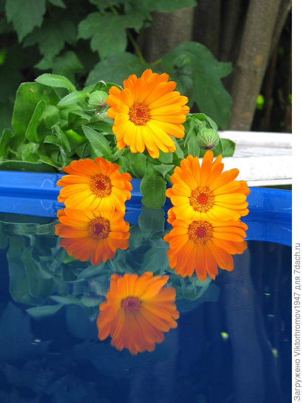 Отражение...