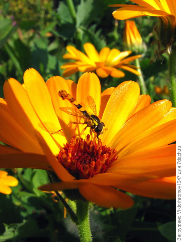 Любимый уголок