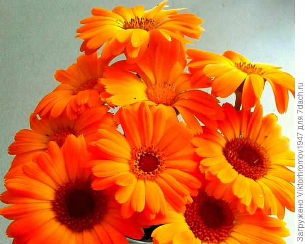 Лечебная горка...