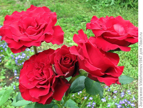 Радости Счастья Улыбок и конечно милых встреч на Семидачье!!!