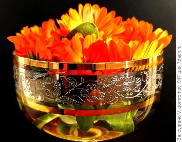 Полезная красота!...