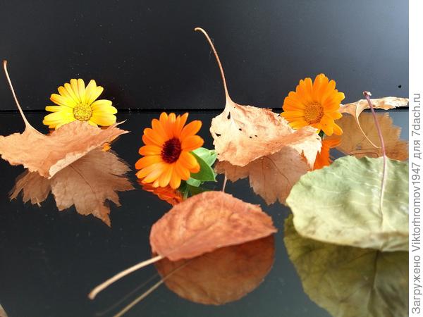 Осенний натюрморт