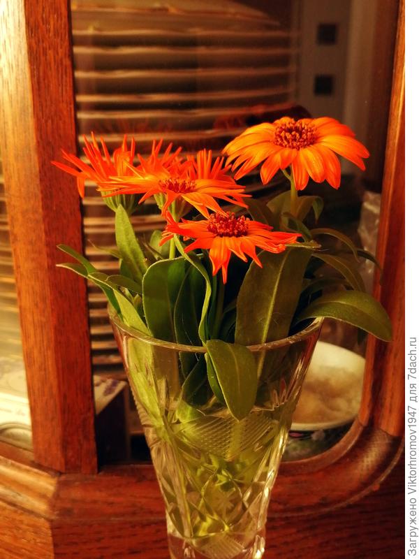 Нежный Осенний букетик