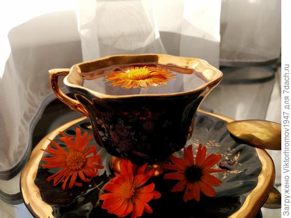 Начинается сезон домашнего чаепития...