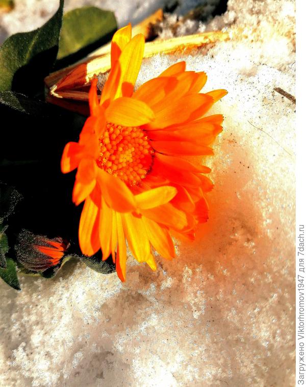 ... Аж снег &quot;плавится&quot;