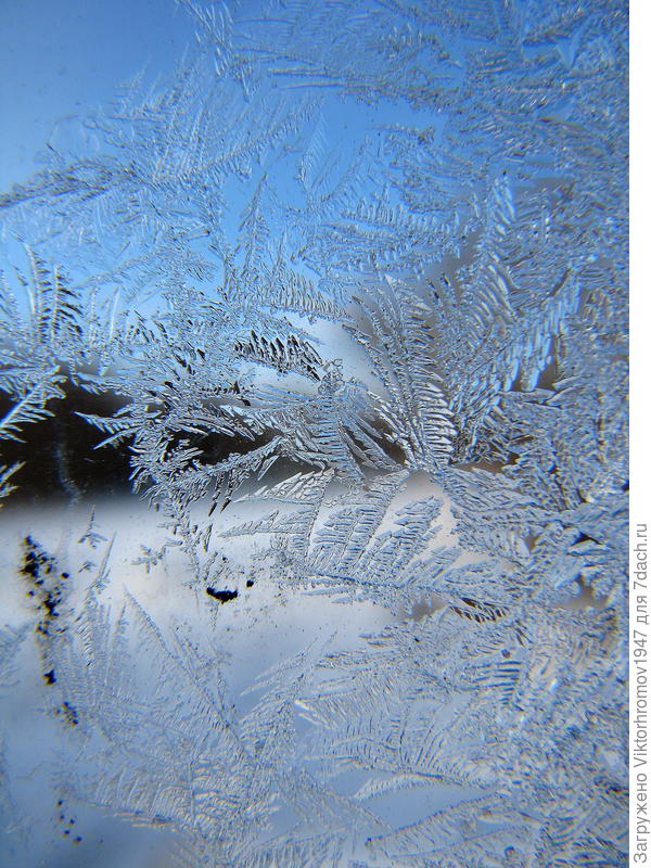 ...почти Паутинка