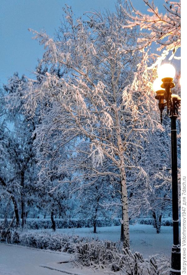 Тихий морозный вечер в парке...