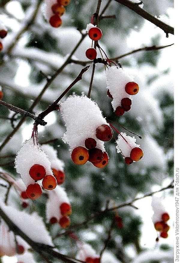 ... яркие краски!