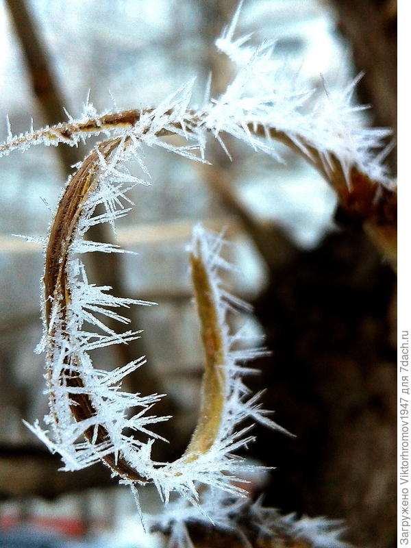 "Зигзаг Удачи..."