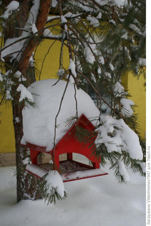 Тепло будет в кормушке