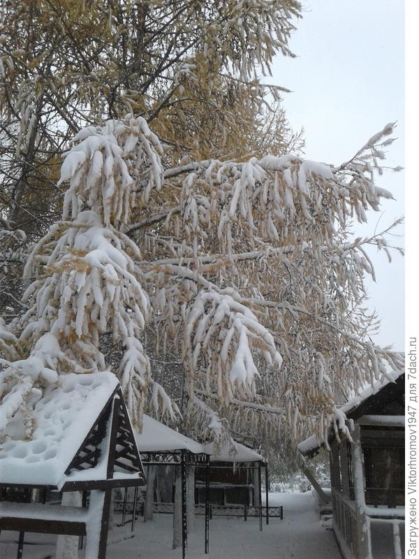 Зима приходит всегда красиво и "неожиданно"