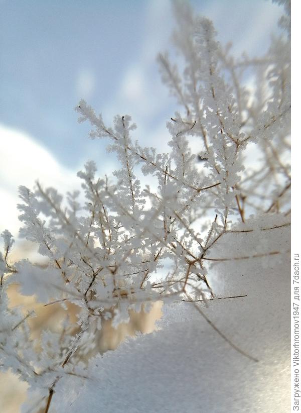 Доброе Утро!...