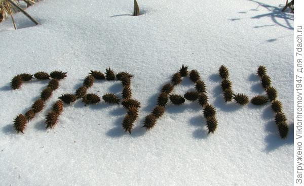 ...в 7Dach.ru попадёшь