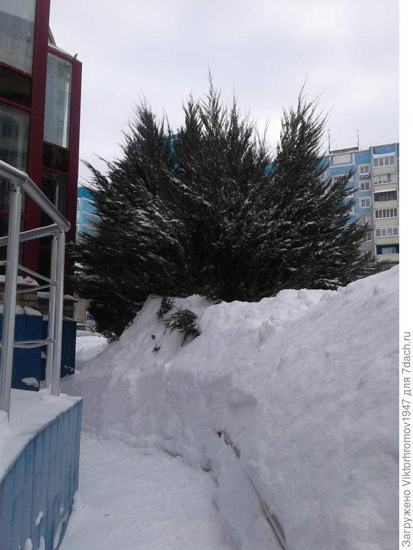 Тоже прошлогодней не очень приятное, так как приходилось отказываться даже в городе