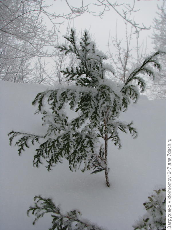 Это прошлогодней приятное воспоминание