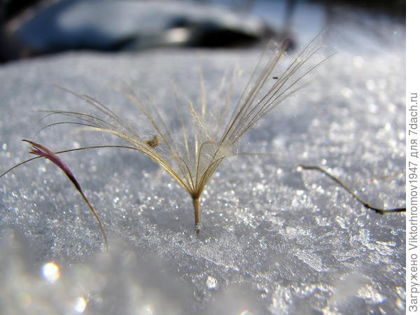 Этот место себе "забил"