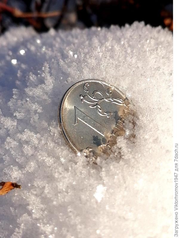 Орёл или Решка?...