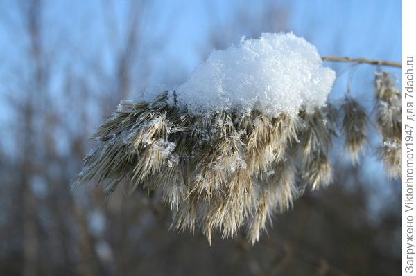 Тепло ли тебе?...
